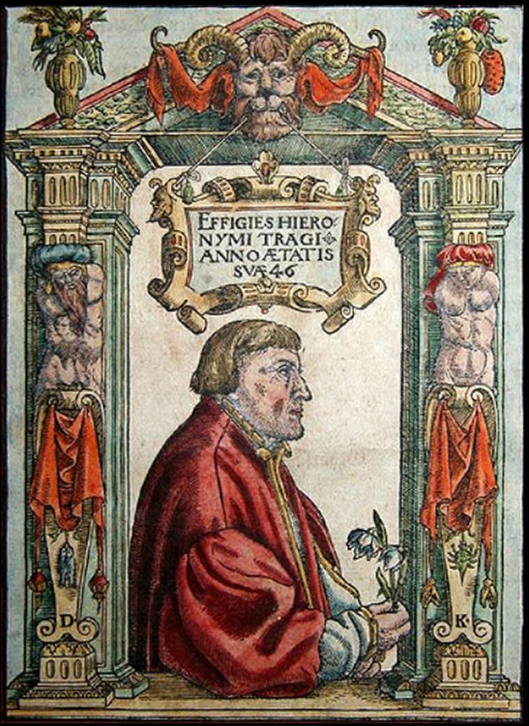 Hieronymus Bock (​1498 - 1554)